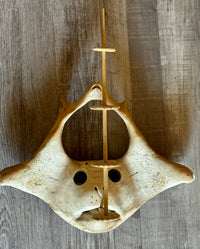 Inuit Bone Mask By Bobby Nashookpuk
