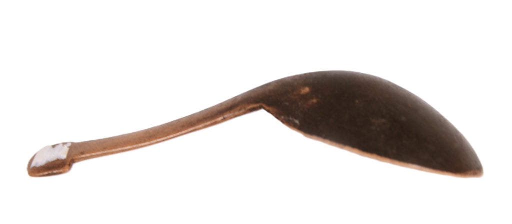Salish Northwest Coast Plains Horn Spoon