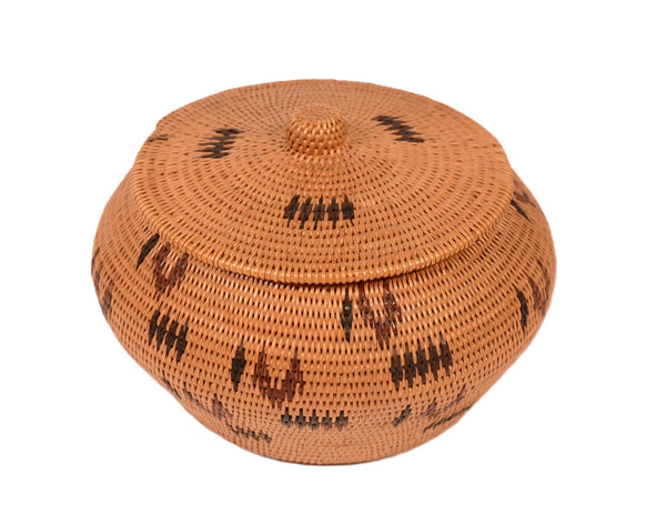 Washoe Polychrome Lidded Basket