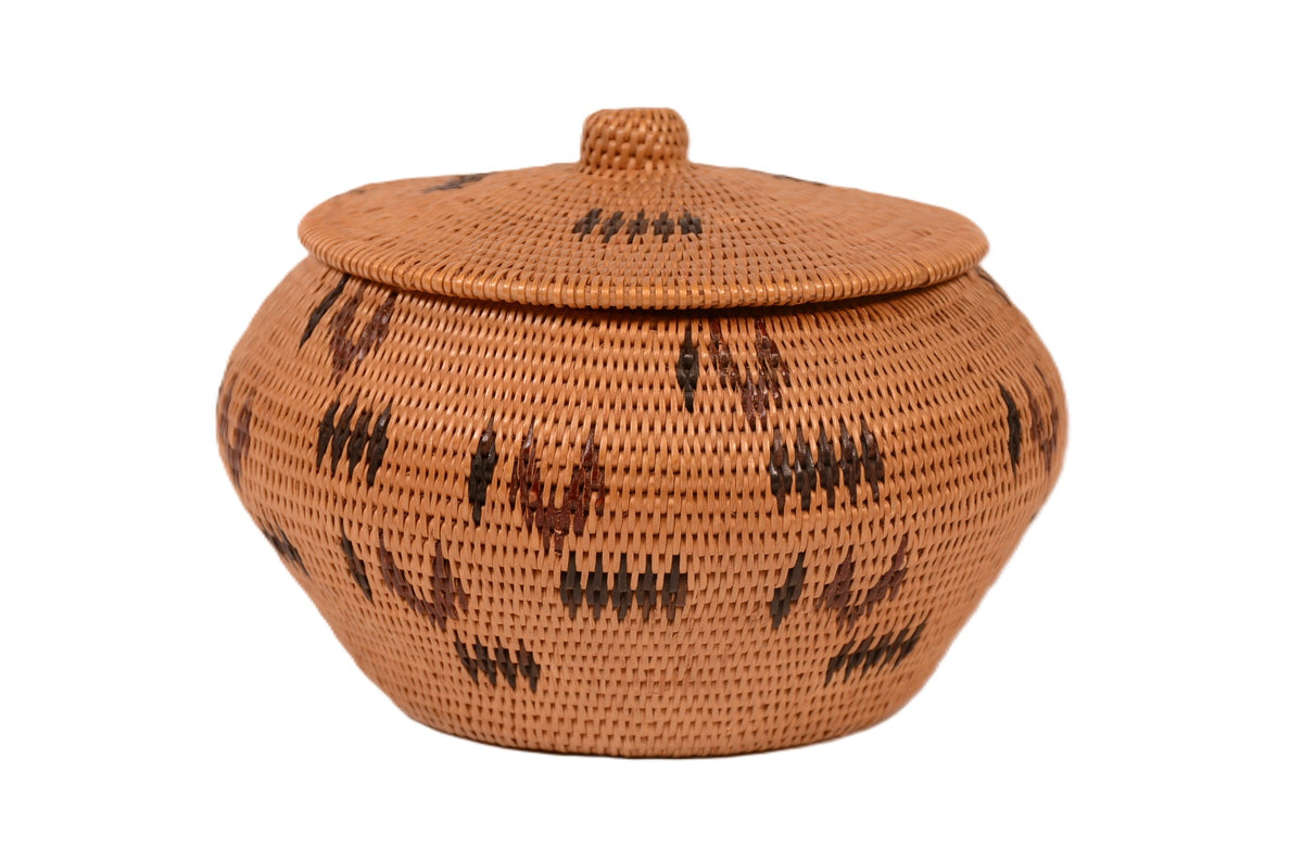 Washoe Polychrome Lidded Basket