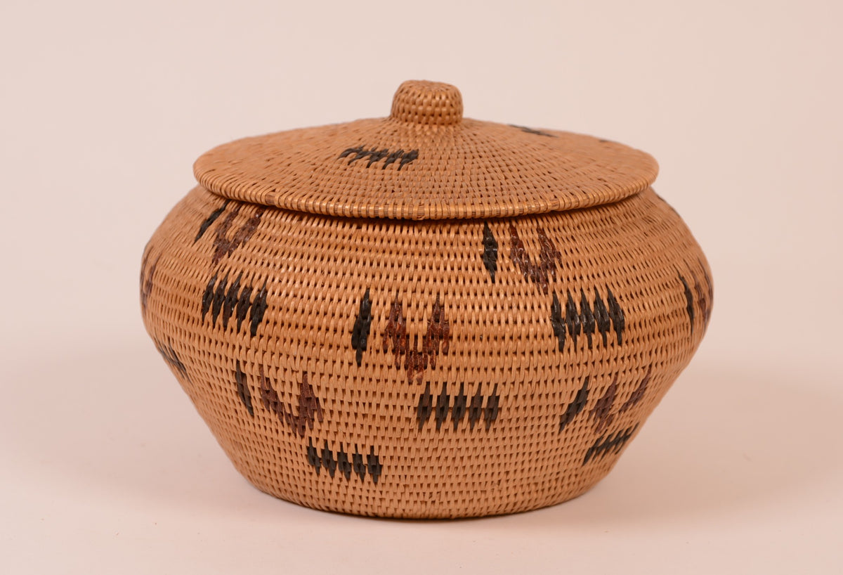 Washoe Polychrome Lidded Basket
