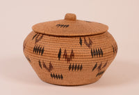 Washoe Polychrome Lidded Basket