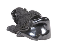 Santa Clara Pueblo Black Bison Pottery By Patty Padilla