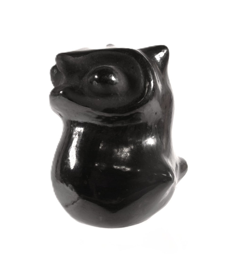 Santa Clara Pueblo Owl Black Pottery By Dorothy and Paul