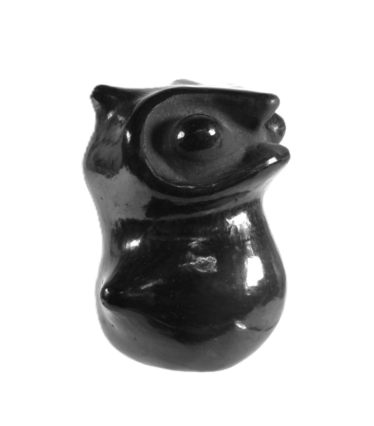 Santa Clara Pueblo Owl Black Pottery By Dorothy and Paul
