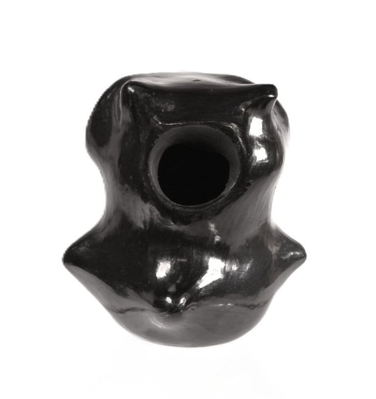 Santa Clara Pueblo Owl Black Pottery By Dorothy and Paul