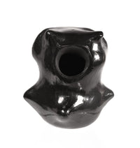 Santa Clara Pueblo Owl Black Pottery By Dorothy and Paul