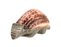Zuni Armadillo Fetish