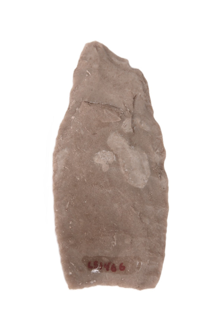 Paleo Arrowhead Artifacts