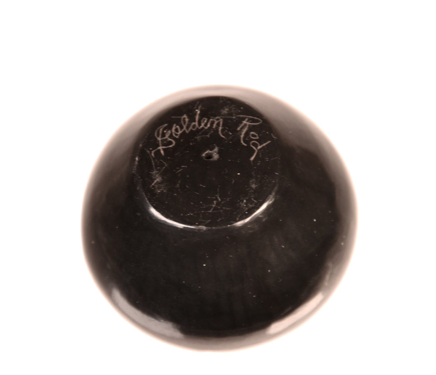 Santa Clara Pueblo Seed Jar By Golden Rod