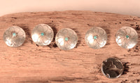 Navajo 6 Sterling Silver and Turquoise Button Covers