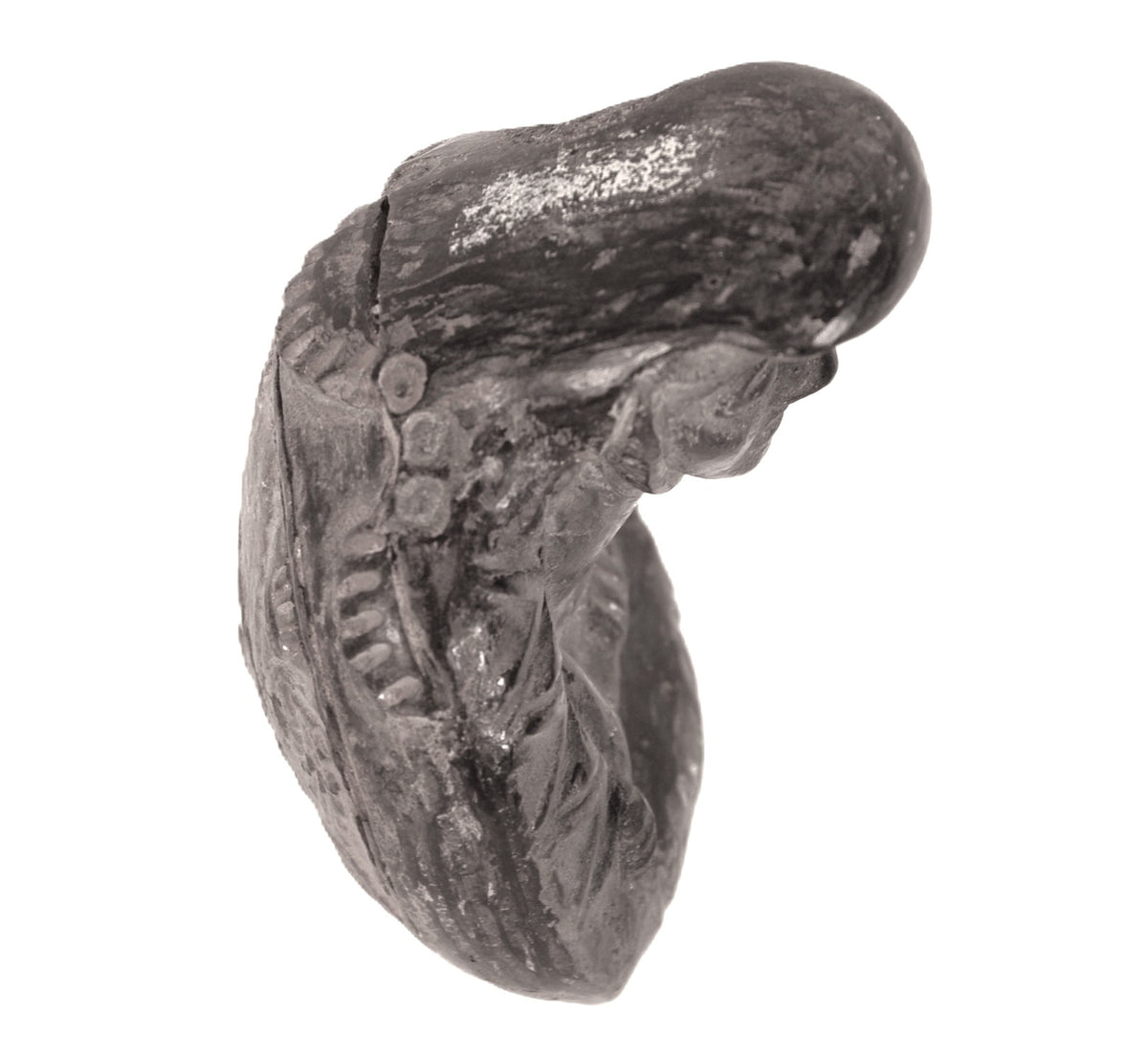 Chimu Blackware Figure of Indian