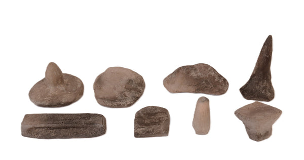 Collection of 8 Seals