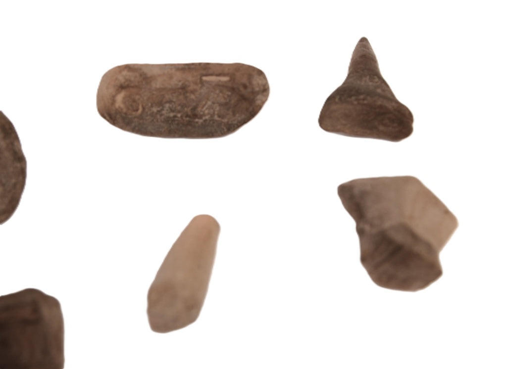 Collection of 8 Seals