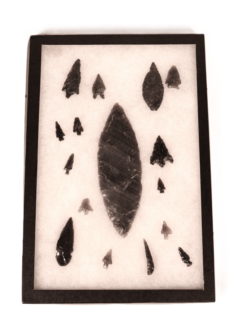 Group of Stone Points in Riker Case