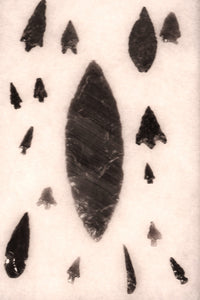 Group of Stone Points in Riker Case
