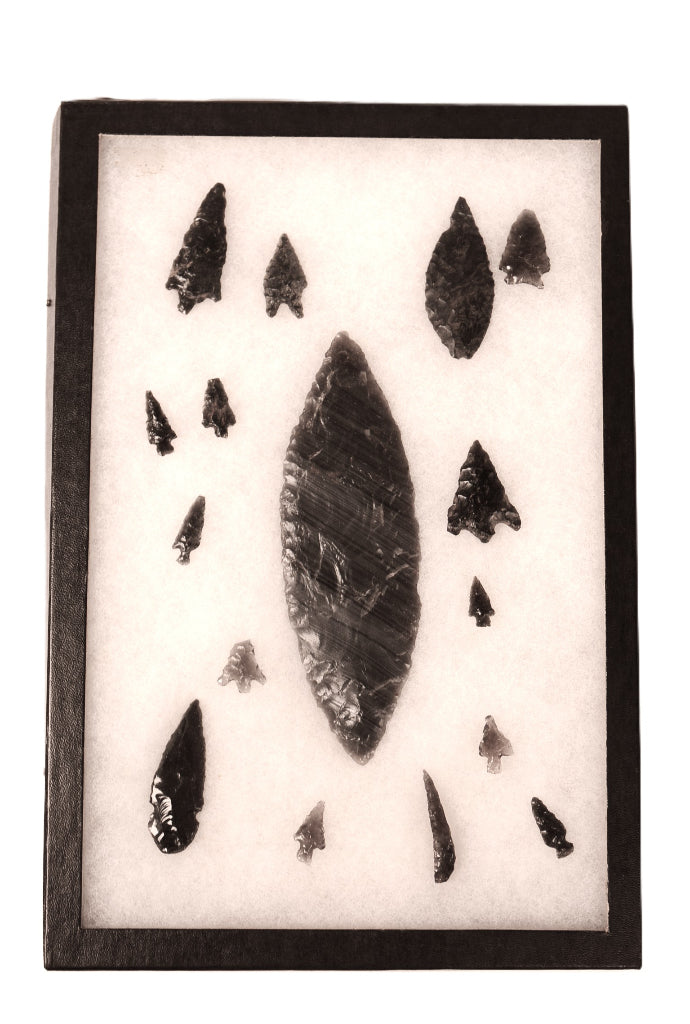 Group of Stone Points in Riker Case