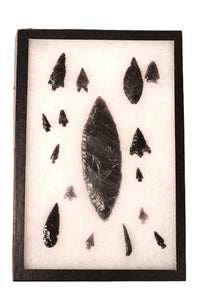 Group of Stone Points in Riker Case
