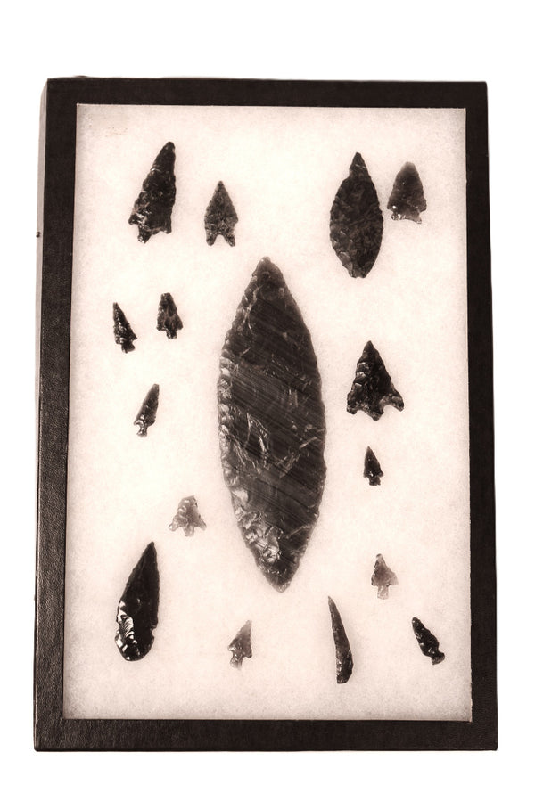 Group of Stone Points in Riker Case