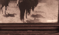 Navajo "Vanishing Race" Photogragh By Edward Sheriff Curtis