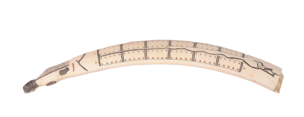 Scrimshaw Walrus Ivory Cribbage Board