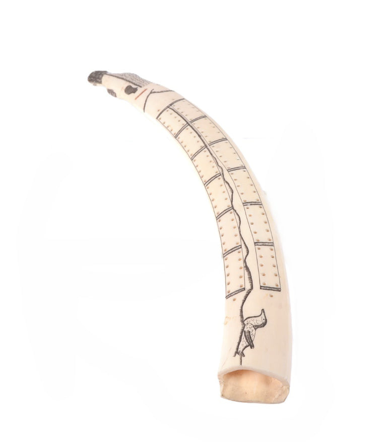 Scrimshaw Walrus Ivory Cribbage Board