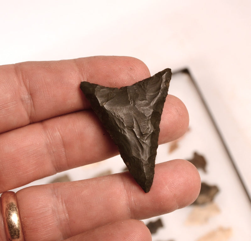 47 Early Man Mixed Points and Blade Artifacts