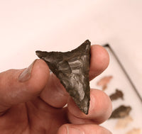 47 Early Man Mixed Points and Blade Artifacts