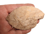 Midwest Frame of 14 Large Stone Artifact Blades