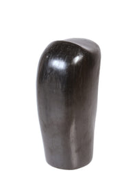 Santa Clara Pueblo Black Frog Pottery By Freddy Brave Eagle Bourdon