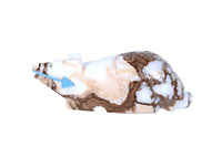 Zuni Pueblo Picasso Marble Bear Fetish By Abby Quam