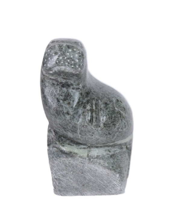 North West Coast Green Serpentine Walrus Sculpture By Herb Pelkey