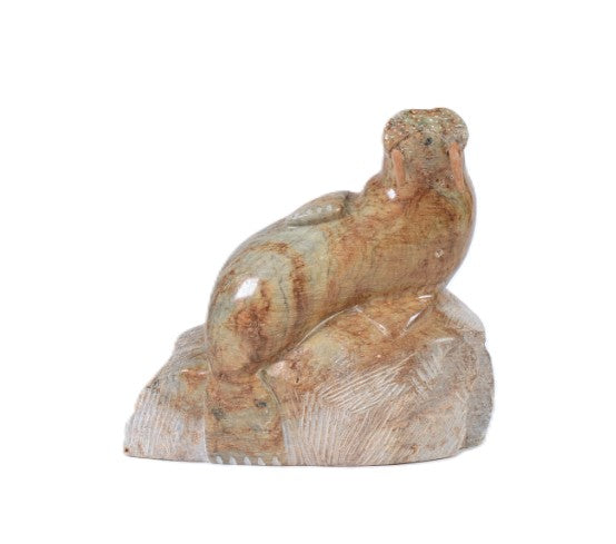 Inuit Brown Walrus Sculpture By Eddie Omnik