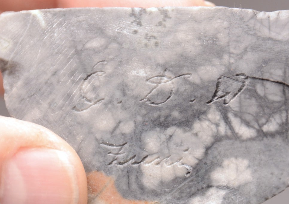 Zuni Pueblo Bobcat Pair Fetish By E.D.W.