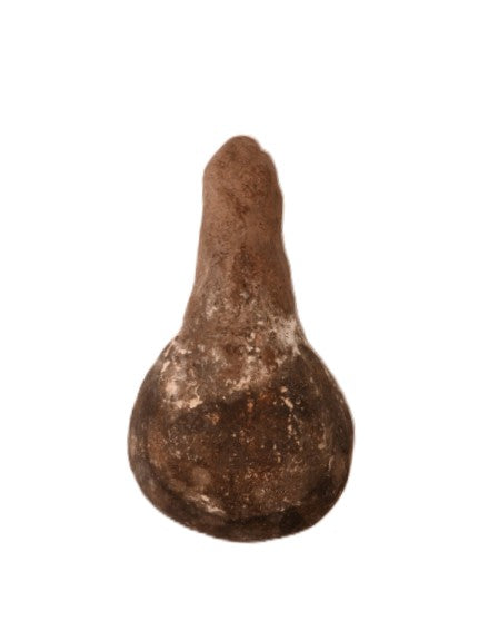 Anasazi Pottery Ladle