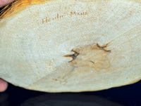 Hopi Pueblo Heoto Mana Kachina Doll By Glenn Fred