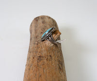 Navajo Turquoise Ring with Star Size: 7