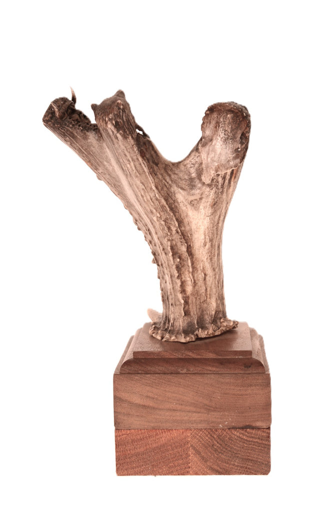 Chiefs Chant Antler Sculpture