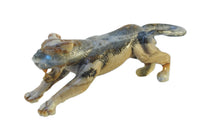 Zuni Mountain Lion Fetish Carving By Dan Quam