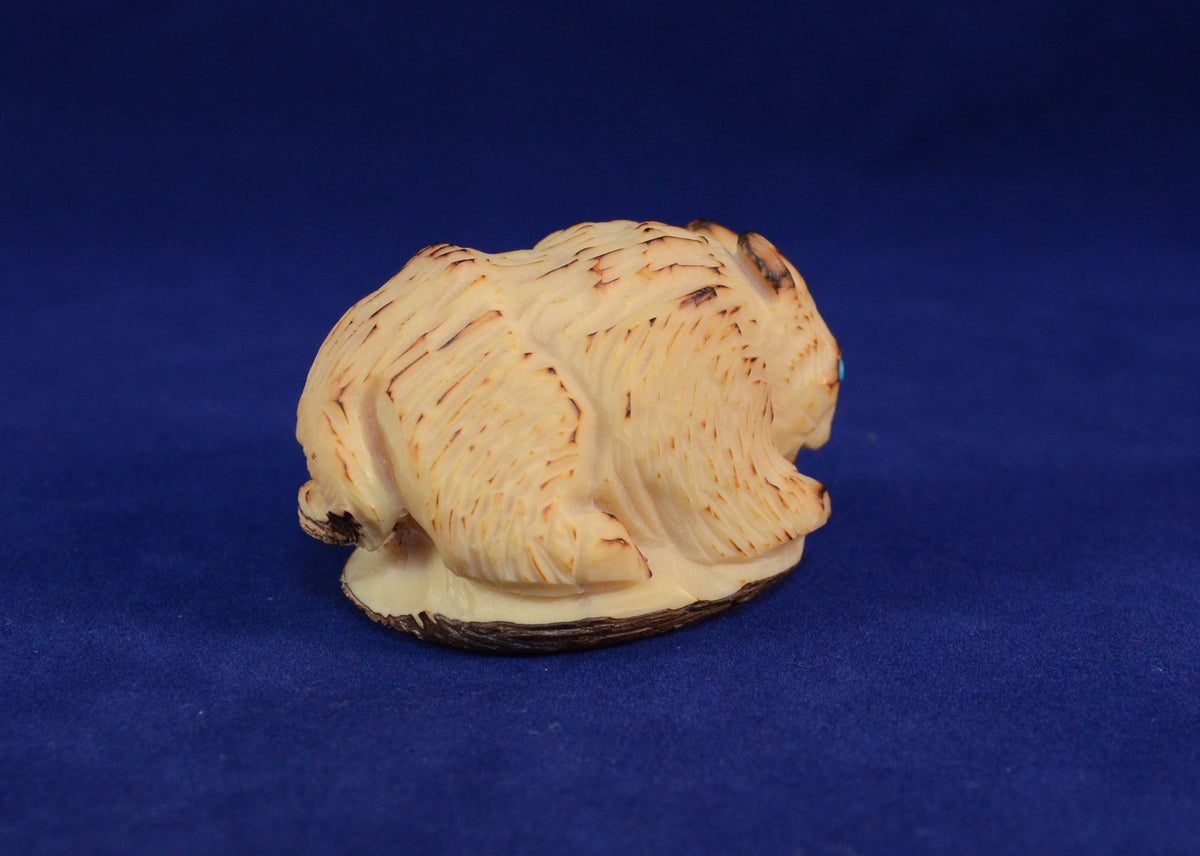 Zuni Fetish Carving by Alvert Lamy - Tagua Nut Bobcat