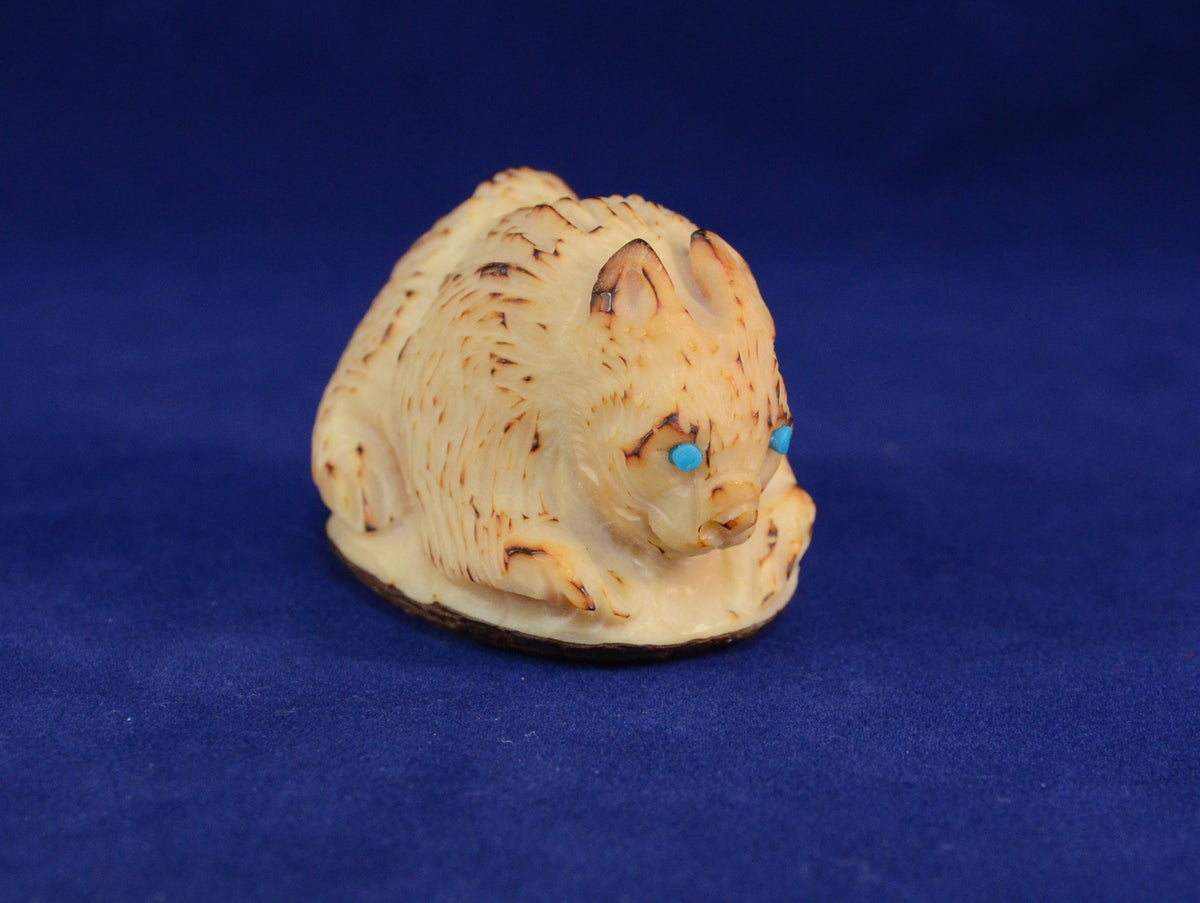 Zuni Fetish Carving by Alvert Lamy - Tagua Nut Bobcat