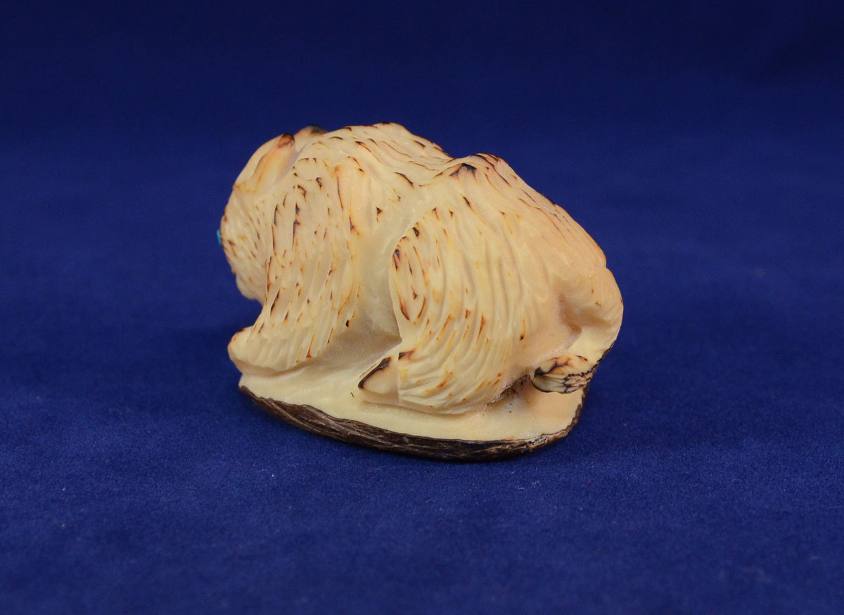 Zuni Fetish Carving by Alvert Lamy - Tagua Nut Bobcat