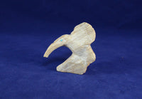 Zuni fetish carving: Serpentine Hummingbird