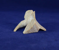 Zuni fetish carving: Serpentine Hummingbird