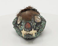 Vintage Zuni Racoon Skull Fetish