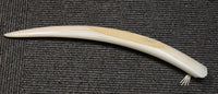 Inuit Walrus Rusk Cribbage Board by Pelowook; Carl Pelowook Sr