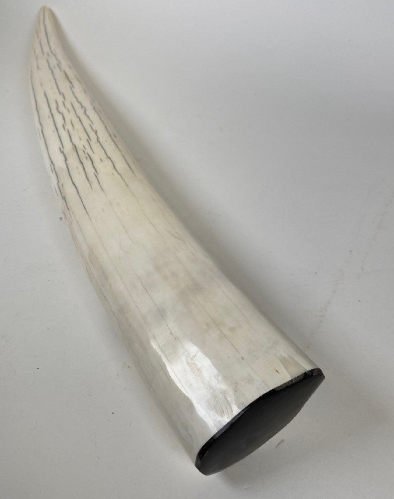 5212-01 - Image 7