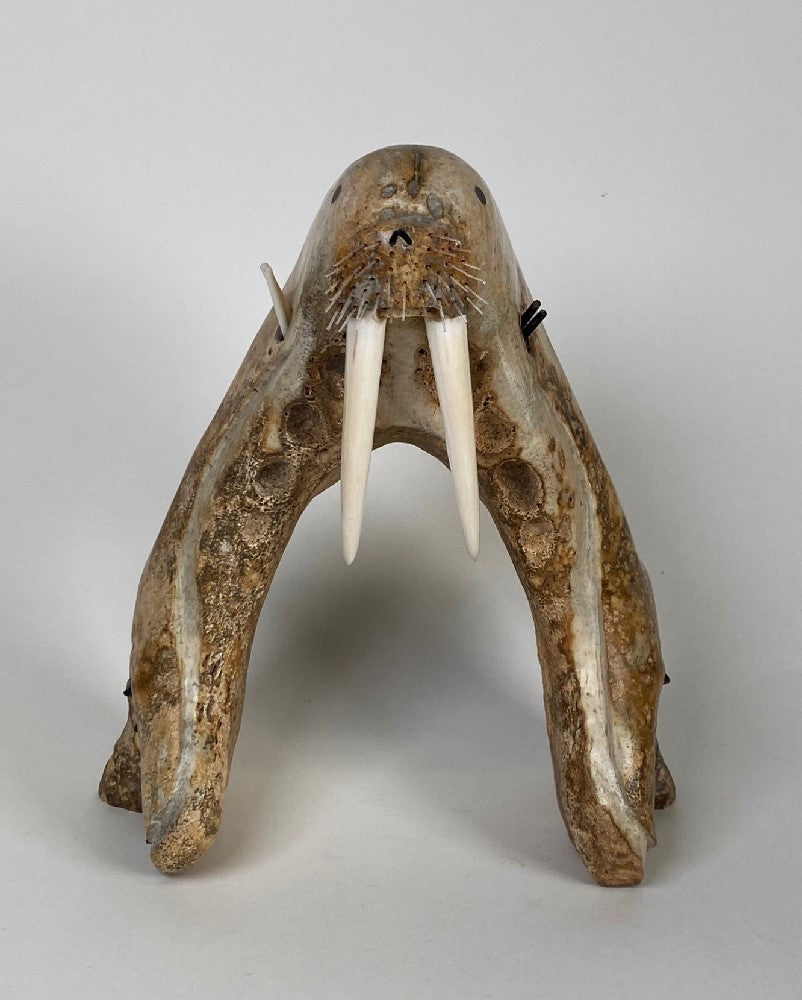 5212-02 - Image 1