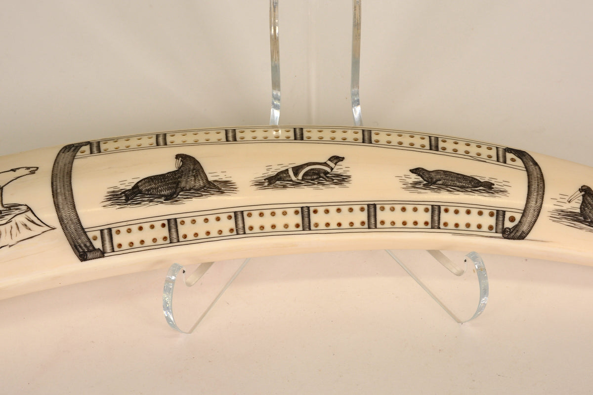 Eskimo Walrus Ivory Cribbage Board with Scrimshaw