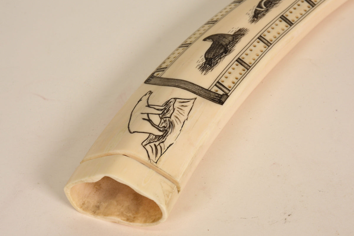 Eskimo Walrus Ivory Cribbage Board with Scrimshaw